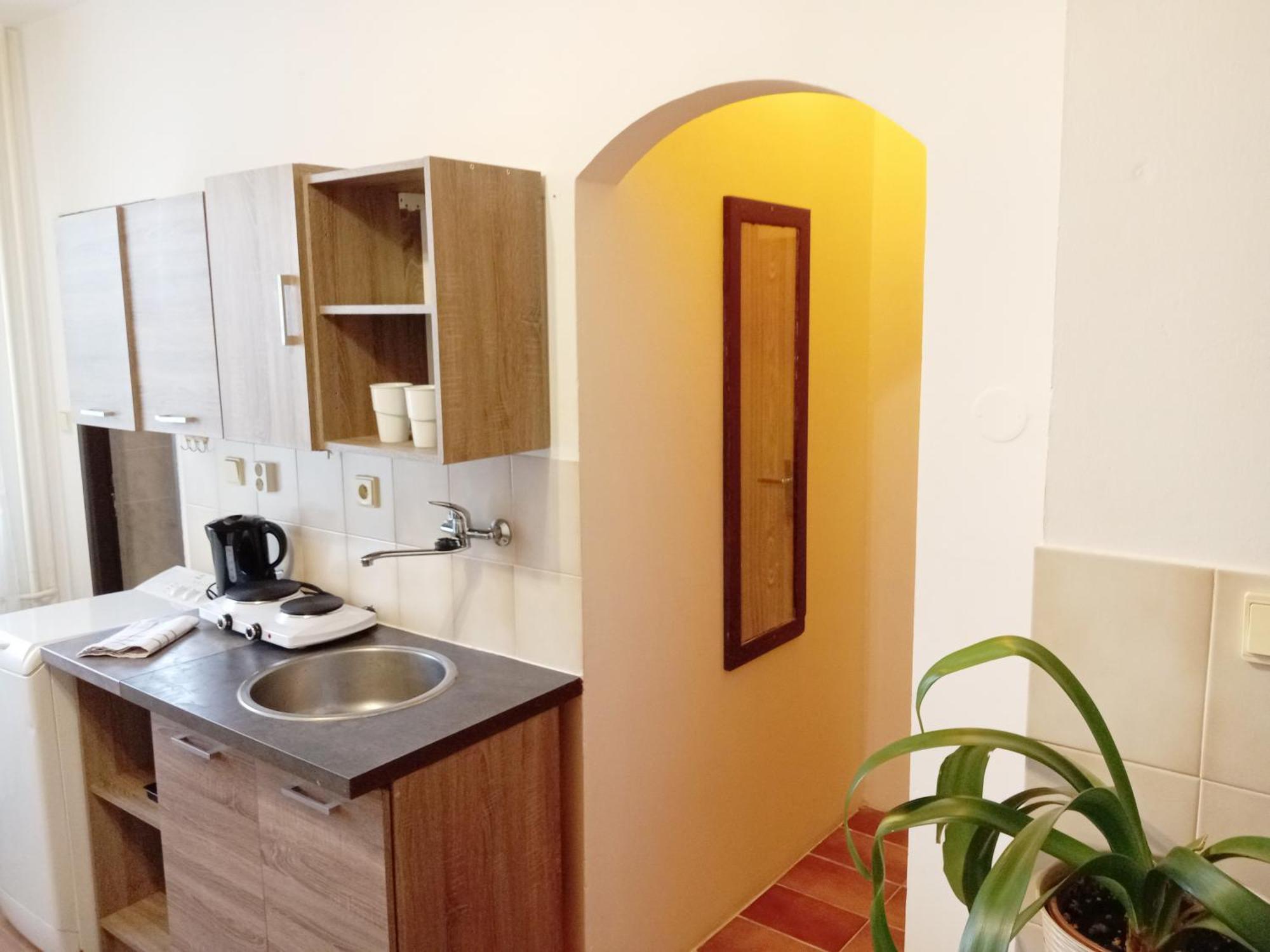 Apartments Alena - การ์โลวีวารี ห้อง รูปภาพ